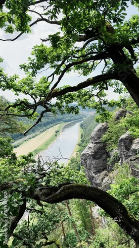 Saxon Switzerland National Park, rocky terrain valley, ugc landscape from height, stone mountains, view of the river through trees.