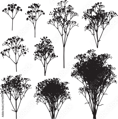 A comprehensive collection of delicate black baby's breath flower silhouettes, showcasing various densities and arrangements, perfect for wedding, botanical, and decorative floral designs