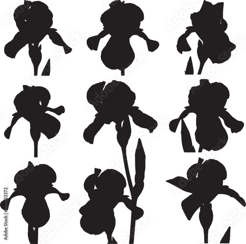 A beautiful assortment of iris flower silhouettes, showcasing various bloom shapes and orientations, ideal for elegant floral designs, spring themes, and sophisticated decorative elements
