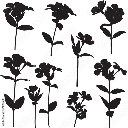 Collection of delicate flowering plant silhouettes with distinct blossoms and stems, perfect for botanical illustrations, garden designs, floral patterns, and natural decorative elements