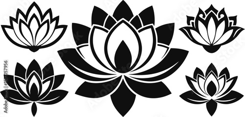 Sacred Lotus Silhouette Vector Set – 6 Variations in One Design