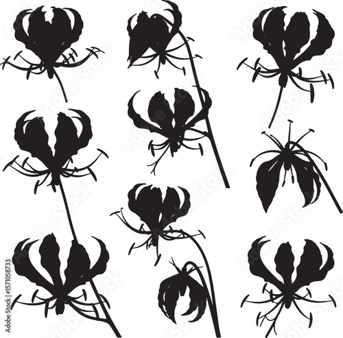 A comprehensive set of unique glory lily flower silhouettes, showcasing various intricate forms and delicate tendrils, ideal for botanical illustrations, patterns, and exotic floral designs