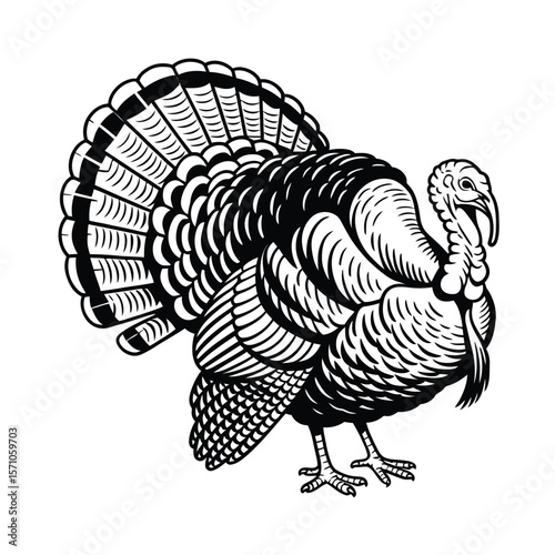 A black and white line drawing of a standing turkey in a traditional woodcut style