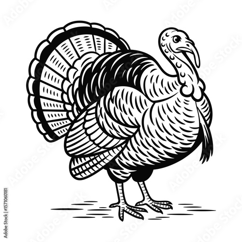 A black and white line drawing of a standing turkey in a traditional woodcut style