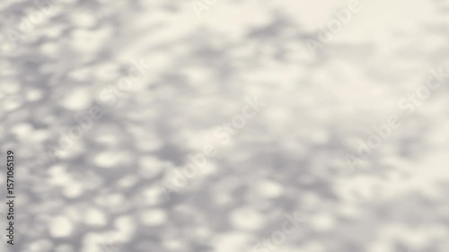 Abstract shadow tree on wind background, bokeh effect, looped animation