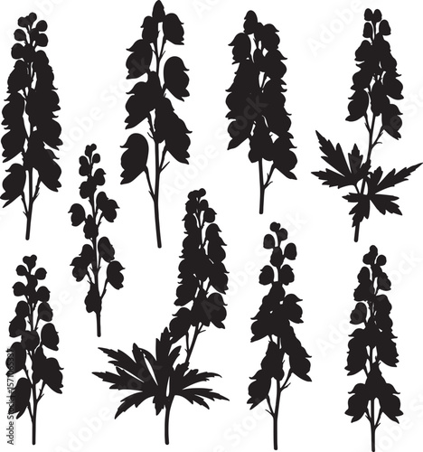 A collection of diverse delphinium flower silhouettes, featuring tall spires and intricate blossoms, ideal for botanical illustrations, natural patterns, and elegant garden-themed designs