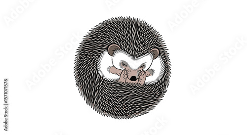 Cute Hedgehog Peeking Out From Its Spiky Ball Showing Its Tiny Face