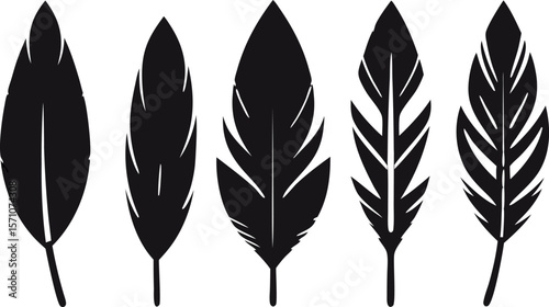 Boho Feather Silhouette Set – 6 Feather Designs in Vector Style