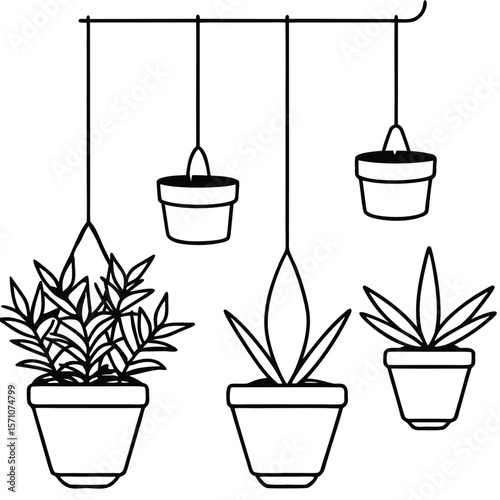 Collection of hanging potted plants in a simple line art style