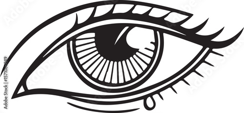 Detailed black and white eye illustration with eyelashes and tear drop vector art