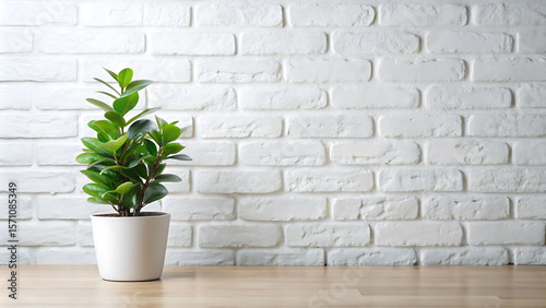White Brick Wall With a Single Green Potted Plant in a Room