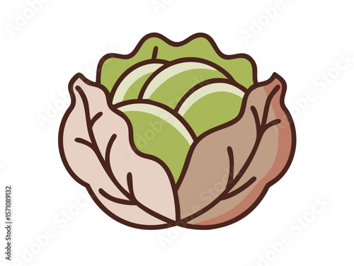 Colorful Cartoon Illustration of a Head of Lettuce , Cute, cartoonish illustration of a head of lettuce. 