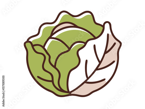 Colorful Cartoon Illustration of a Head of Lettuce , Cute, cartoonish illustration of a head of lettuce. 