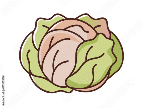 Colorful Cartoon Illustration of a Head of Lettuce , Cute, cartoonish illustration of a head of lettuce. 