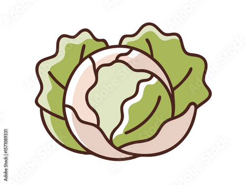 Colorful Cartoon Illustration of a Head of Lettuce , Cute, cartoonish illustration of a head of lettuce. 