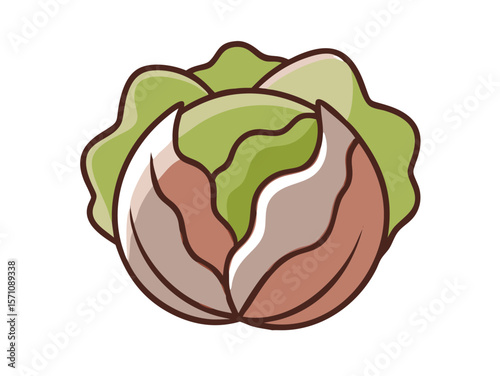 Colorful Cartoon Illustration of a Head of Lettuce , Cute, cartoonish illustration of a head of lettuce. 