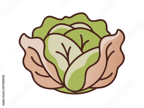Colorful Cartoon Illustration of a Head of Lettuce , Cute, cartoonish illustration of a head of lettuce. 