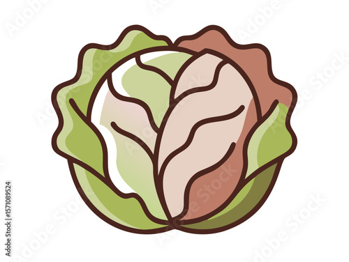 Colorful Cartoon Illustration of a Head of Lettuce , Cute, cartoonish illustration of a head of lettuce. 