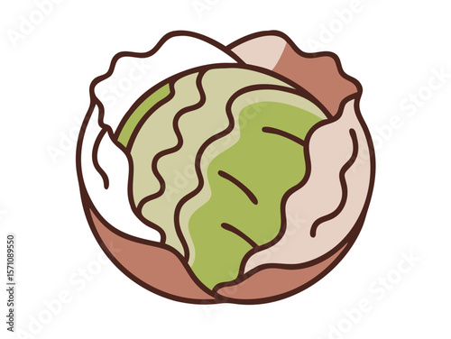 Colorful Cartoon Illustration of a Head of Lettuce , Cute, cartoonish illustration of a head of lettuce. 