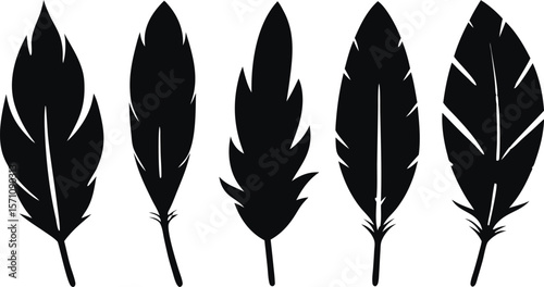 Boho Feather Silhouette Set – 6 Feather Designs in Vector Style