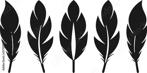 Boho Feather Silhouette Set – 6 Feather Designs in Vector Style