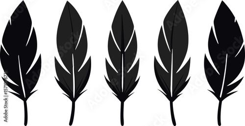 Boho Feather Silhouette Set – 6 Feather Designs in Vector Style