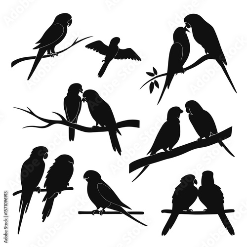 Collection of silhouetted parrots perched on branches and flying