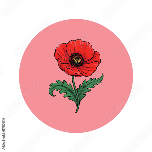 Vibrant red poppy flower with green leaves depicted in a simple clean illustration style on a pink circular background