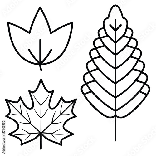 Three stylized leaf outlines in black silhouette isolated on white background