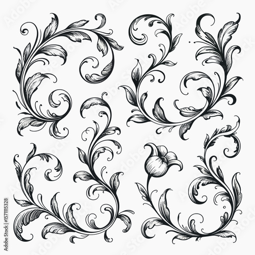 Intricate Hand Drawn Cat Illustration with Detailed Line Work and Various Color Options