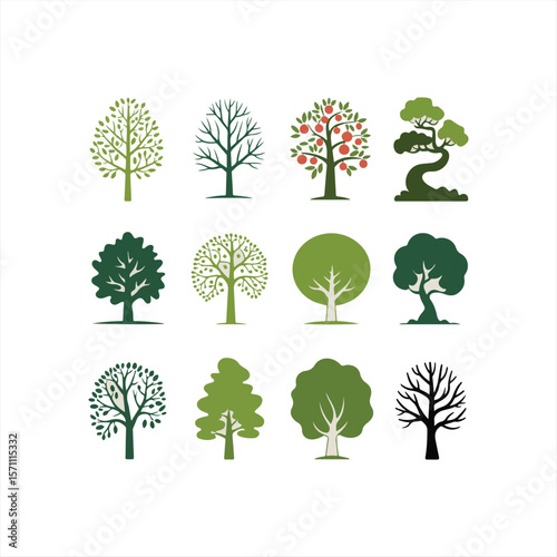Various tree vectors. Forest and nature concept. Collection of different tree symbols. Education and training poster design. Vector drawn for plant and tree presentation.