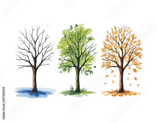 Various tree vectors. Forest and nature concept. Collection of different tree symbols. Education and training poster design. Vector drawn for plant and tree presentation.