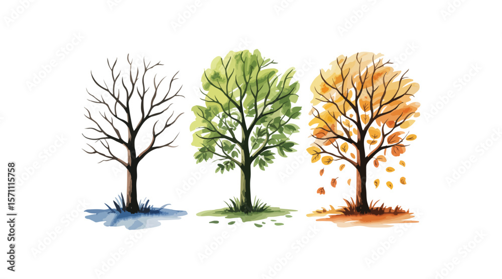 Fototapeta premium Various tree vectors. Forest and nature concept. Collection of different tree symbols. Education and training poster design. Vector drawn for plant and tree presentation.