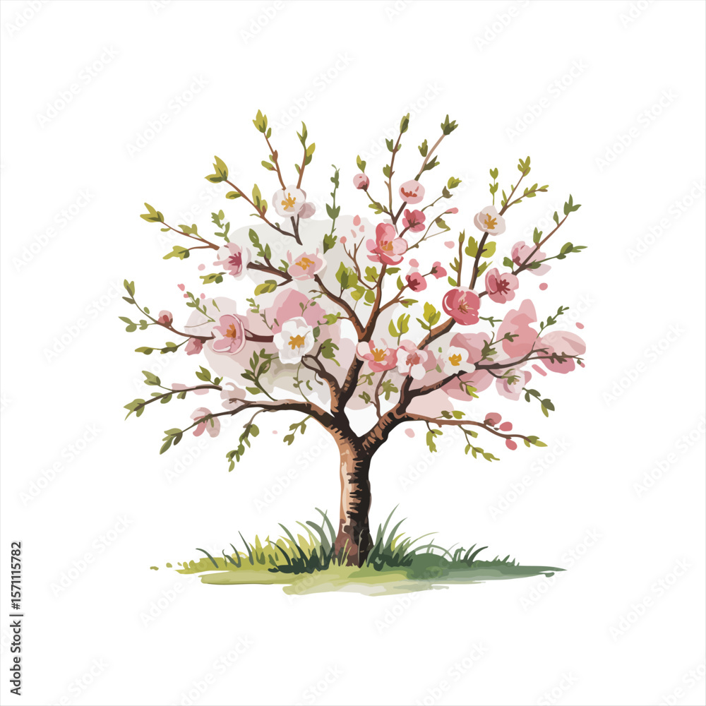 Fototapeta premium Various tree vectors. Forest and nature concept. Collection of different tree symbols. Education and training poster design. Vector drawn for plant and tree presentation.