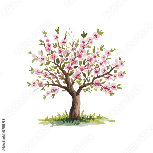 Various tree vectors. Forest and nature concept. Collection of different tree symbols. Education and training poster design. Vector drawn for plant and tree presentation.