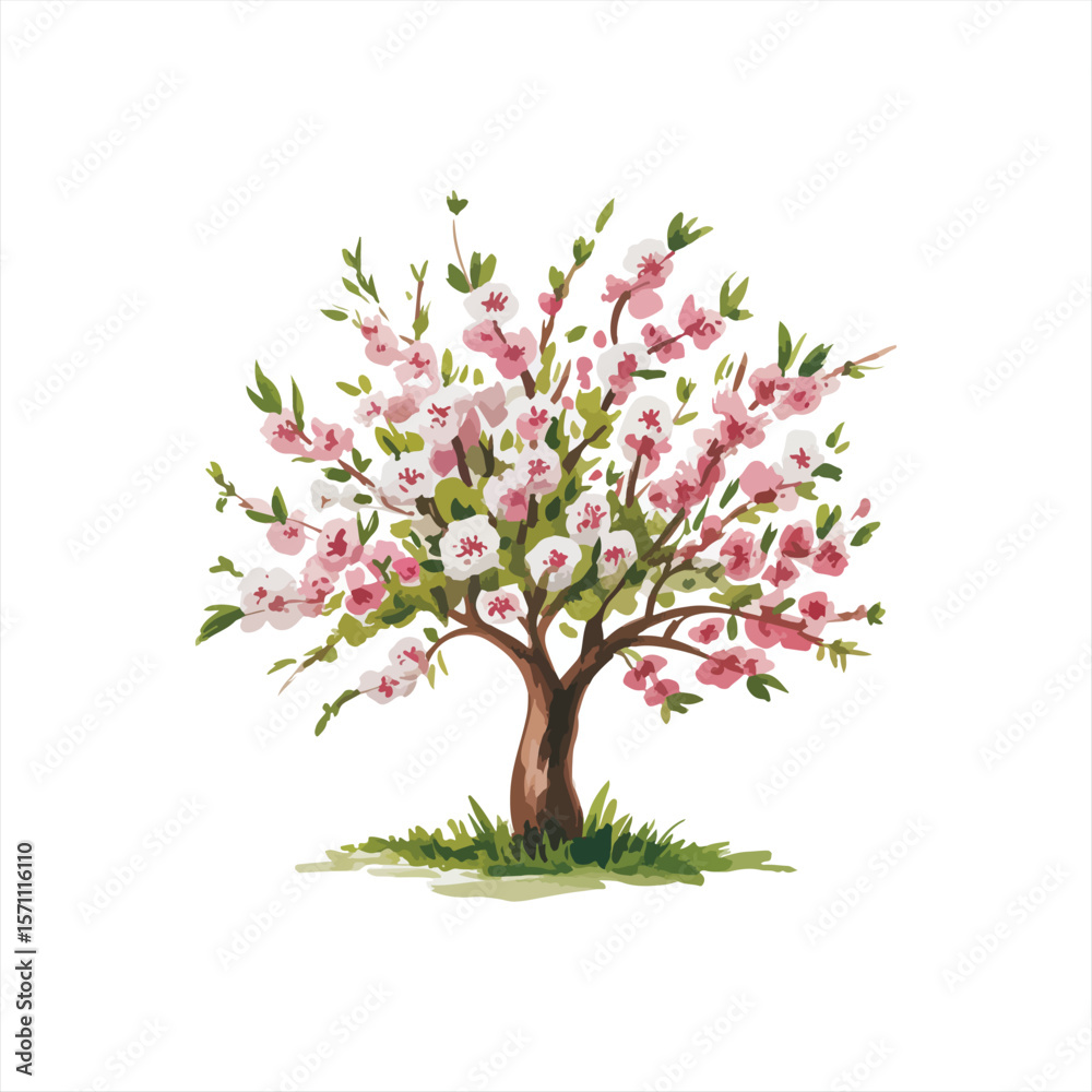 Obraz premium Various tree vectors. Forest and nature concept. Collection of different tree symbols. Education and training poster design. Vector drawn for plant and tree presentation.