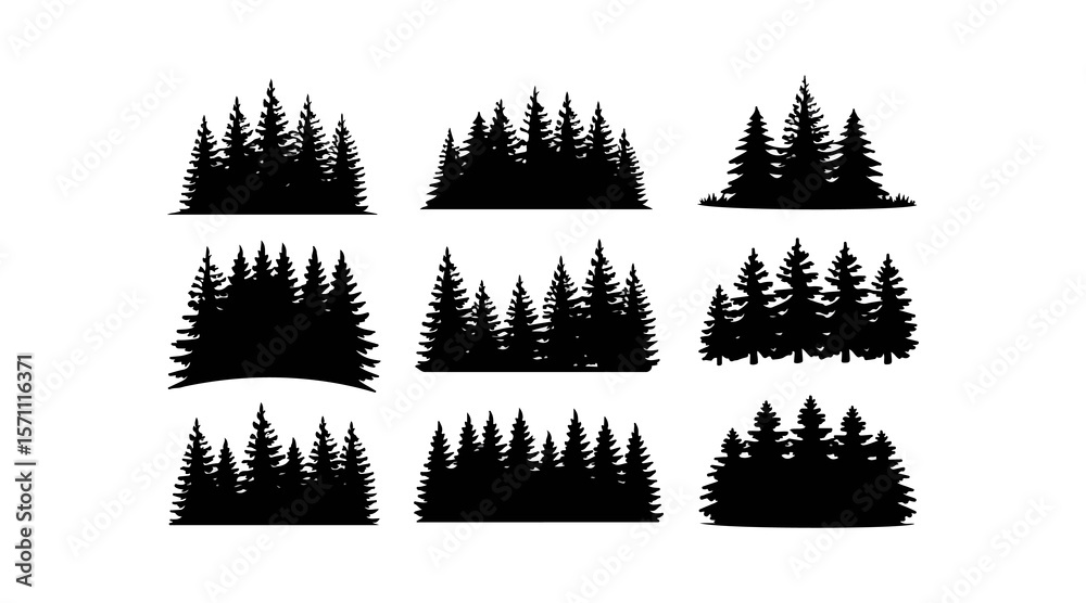 Fototapeta premium Various tree vectors. Forest and nature concept. Collection of different tree symbols. Education and training poster design. Vector drawn for plant and tree presentation.