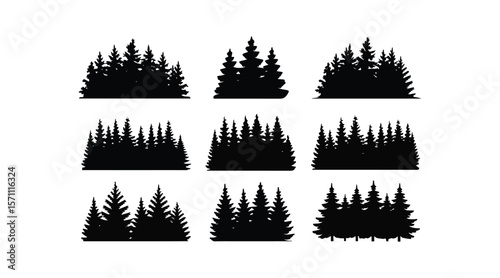 Various tree vectors. Forest and nature concept. Collection of different tree symbols. Education and training poster design. Vector drawn for plant and tree presentation.