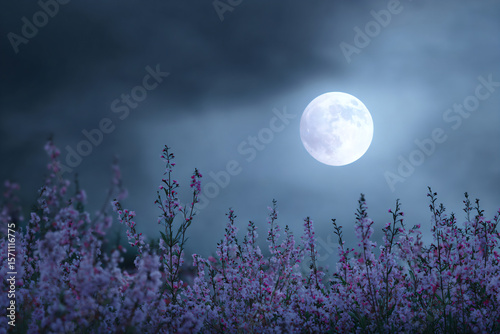 a full moon is seen over a field of flowers