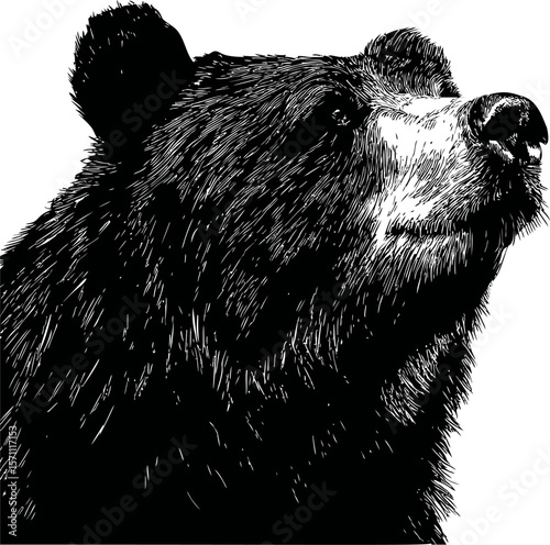 Intricate black and white bear illustration with detailed fur texture