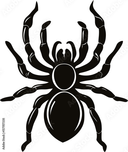 Black silhouette of a tarantula with detailed legs