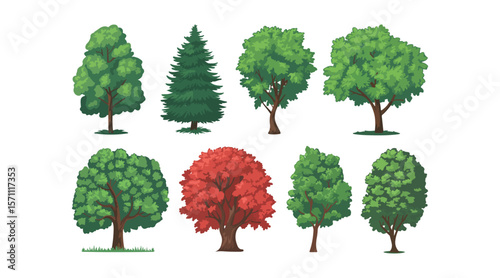 Various tree vectors. Forest and nature concept. Collection of different tree symbols. Education and training poster design. Vector drawn for plant and tree presentation.