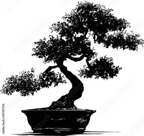 Silhouette of a bonsai tree in a pot with intricate branches and leaves