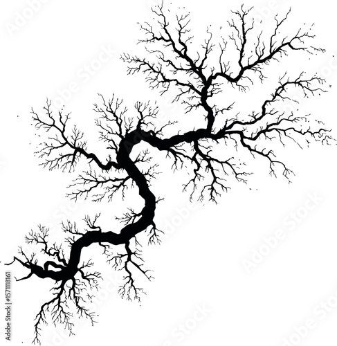 Silhouette of a black tree branch with intricate branches