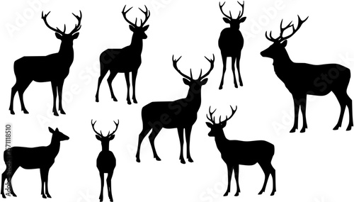 Elegant deer silhouette single deer standing gracefully vector illustration design