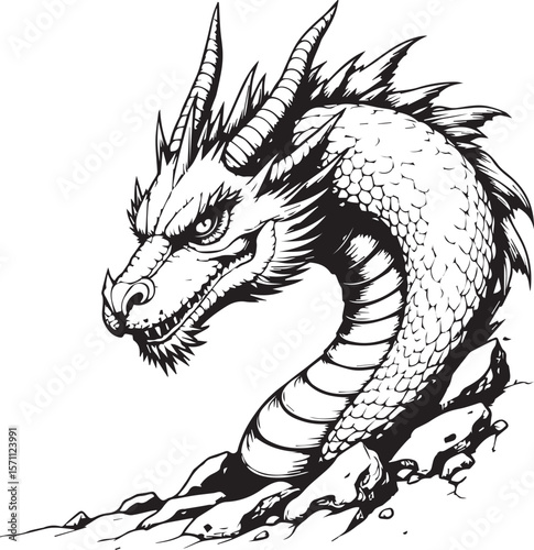 Dragon's Head Illustration: A powerful illustration of a dragon's head emerging from the rocks, showcasing intricate details and a fierce expression.