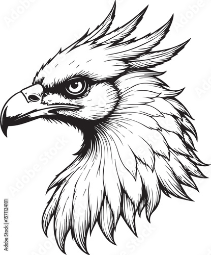 Majestic Eagle Head: A detailed line drawing of an eagle's head, showcasing its powerful gaze and majestic feathers.  The illustration evokes a sense of strength, freedom, and wildness. 