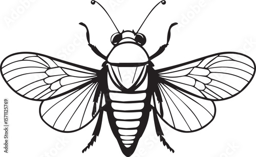Detailed Insect Silhouette: A meticulously crafted black-and-white illustration of an insect, showcasing intricate details of its wings, body segments, and antennae. 