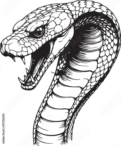 Viper's Gaze: A detailed illustration of a viper, its menacing gaze fixed. Capturing its predatory essence.