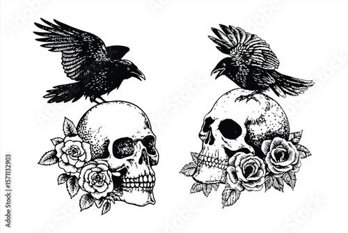 Skulls with ravens and roses are isolated on white background, illustrated in a vintage engraving style for a gothic theme